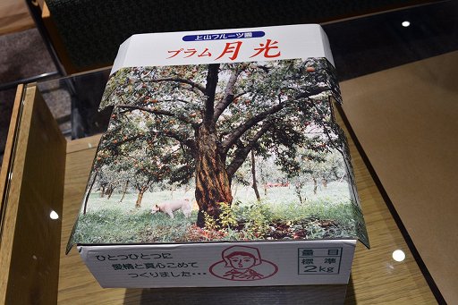 画像ギャラリー No.004のサムネイル画像 / 「ARMORED CORE VI」の発売を，果物界のムーンライトを食べながら待つ（「買い物Surfer」第19回）