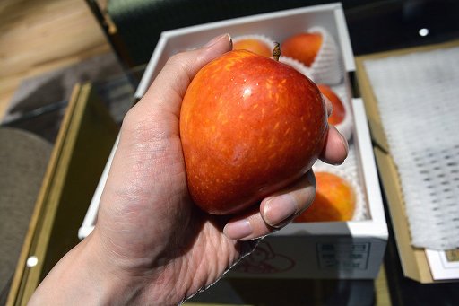 画像ギャラリー No.006のサムネイル画像 / 「ARMORED CORE VI」の発売を，果物界のムーンライトを食べながら待つ（「買い物Surfer」第19回）