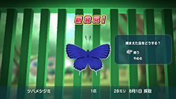画像ギャラリー No.013のサムネイル画像 / 「なつもん！ 20世紀の夏休み」，クエスト要素の“冒険”やアイテム，サーカス団の演出に関する情報を公開