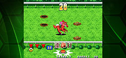 ステークスウィナー アケアカNEOGEO