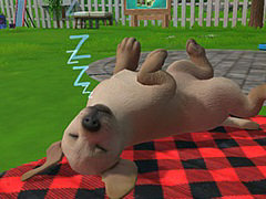 柴犬，ラブラドール，コーギーなど9種類の子犬たちと触れあえる。Switch用育成ゲーム「LITTLE FRIENDS 〜PUPPY ISLAND〜」，7月6日発売