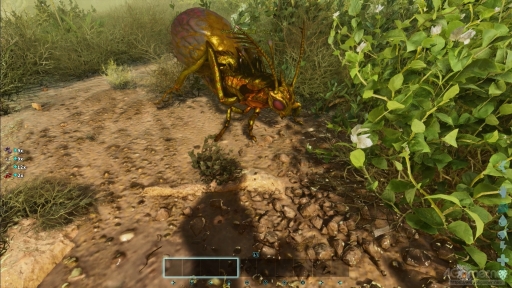 画像ギャラリー No.024のサムネイル画像 / ゴールデンウィークは「ARK: Survival Ascended」でグランピング的に優雅なキャンプ体験を。レジャー気分で楽しめる恐竜島探索のご提案