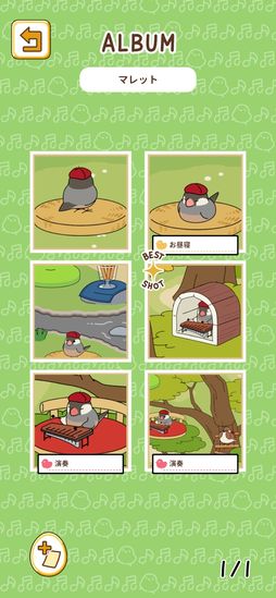 とりのおと
