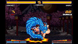 ストリップファイターZERO
