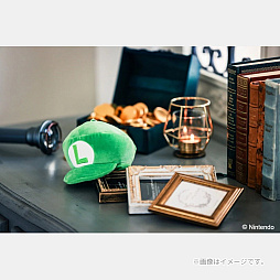画像ギャラリー No.003のサムネイル画像 / 「ルイージ」の帽子ぬいぐるみポーチと，「テレサ」のルームライトが付属するムック本が宝島社から6月25日に発売