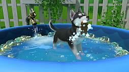 LITTLE FRIENDS 〜PUPPY ISLAND〜