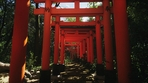 画像ギャラリー No.003のサムネイル画像 / 世界中の風光明媚な土地をめぐって写真を撮るシミュレーション「Lushfoil Photography Sim」，日本の景色も確認できるトレイラーを公開