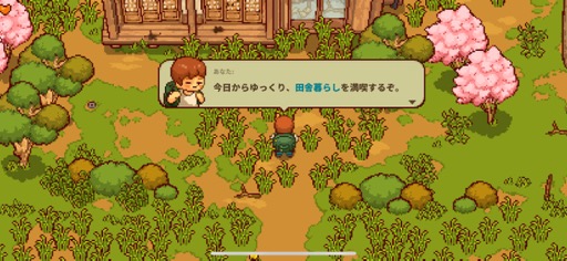 画像ギャラリー No.007のサムネイル画像 / 田舎暮らしは案外忙しい!?　「にほんの田舎ぐらし」で自ら作り出したものに囲まれて，心豊かな生活を楽しもう（今日から始めろApple Arcade #23）