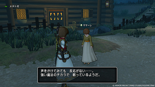 画像ギャラリー No.006のサムネイル画像 / 「ドラゴンクエストX　未来への扉とまどろみの少女　オンライン」，果ての大地ゼニアスにある，村民が立ったまま眠りについたメネト村を紹介