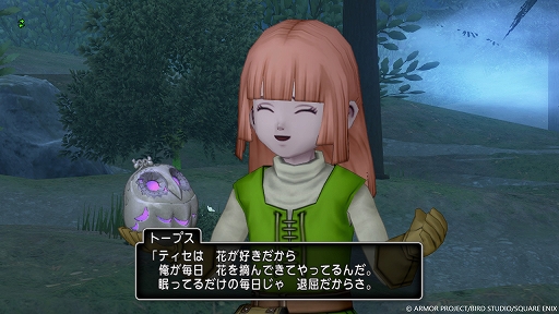 画像ギャラリー No.008のサムネイル画像 / 「ドラゴンクエストX　未来への扉とまどろみの少女　オンライン」，果ての大地ゼニアスにある，村民が立ったまま眠りについたメネト村を紹介