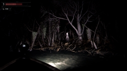 画像ギャラリー No.005のサムネイル画像 / 不気味な湖を舞台にした「Drowned Lake」，Steamストアページを公開。ブラジルの神話からインスピレーションを得たホラーフィッシング