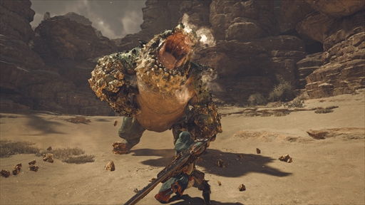 画像ギャラリー No.011のサムネイル画像 / 「モンスターハンターワイルズ」での狩りは新たな領域へ。シームレスに続く狩猟，変化する環境，武器交換など，新情報満載のプレゼンを紹介