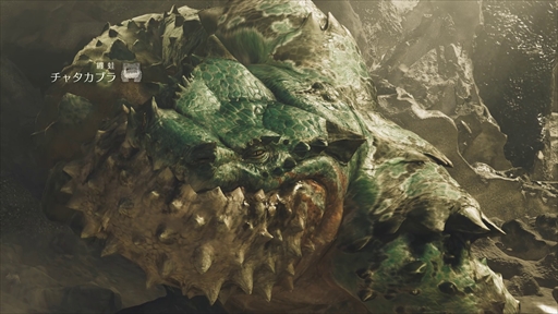 画像ギャラリー No.027のサムネイル画像 / 「モンスターハンターワイルズ」第2回オープンβテストの前半が，バチバチイケジョを作り出したキャラクタークリエイトで終わってしまった懺悔の話