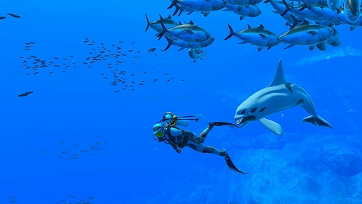 画像ギャラリー No.003のサムネイル画像 / 「FOREVER BLUE LUMINOUS」，遭遇する生き物や，みんなでダイビングの様子などを確認できる紹介映像を公開。2種類のCM映像も