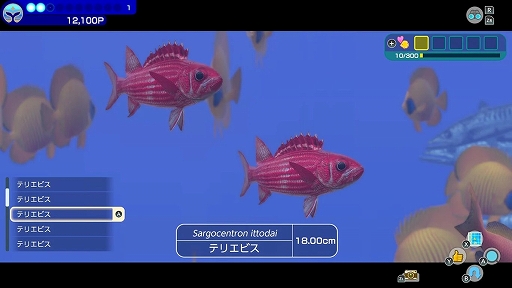 画像ギャラリー No.007のサムネイル画像 / 「FOREVER BLUE LUMINOUS」，遭遇する生き物や，みんなでダイビングの様子などを確認できる紹介映像を公開。2種類のCM映像も