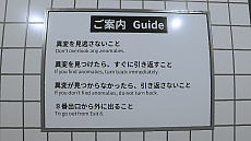 画像ギャラリー No.013のサムネイル画像 / 「8番出口」がNintendo Switchで本日配信。異変を見つけたら引き返し，8番出口を目指せ