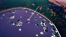 Collector's Cove