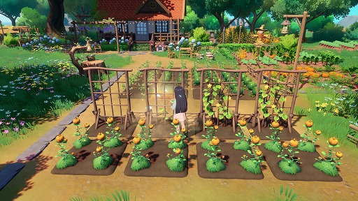 画像ギャラリー No.003のサムネイル画像 / 「星砂島物語」（Starsand Island），島での5日間を体験できるPC向けデモ版の公開期間を延長。終了日は，後日発表予定