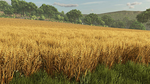 画像ギャラリー No.010のサムネイル画像 / 「Farming Simulator 25」がさらに進化して，アジア地域で稲作が可能に。朝靄の中を子ウシが駆け，竜巻や雹が農地を襲う［gamescom］