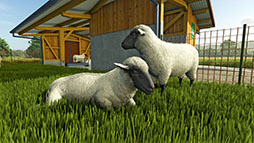 画像ギャラリー No.004のサムネイル画像 / 「Farming Simulator 25」，新作物「お米」「エンドウマメ」のトレイラー映像を公開。お米は長粒米と短粒米の2種類を栽培できる