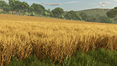 画像ギャラリー No.006のサムネイル画像 / 農業シミュレーション「Farming Simulator 25」，本日リリース。東アジアが実装され稲作も体験可能に