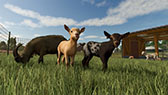 画像ギャラリー No.008のサムネイル画像 / 農業シミュレーション「Farming Simulator 25」，本日リリース。東アジアが実装され稲作も体験可能に
