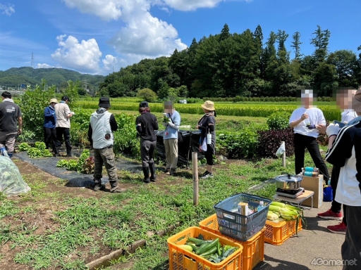 画像ギャラリー No.006のサムネイル画像 / 弟がリアル農家なので「Farming Simulator 25」を一緒にプレイしてみた。農家目線での本作の完成度はいかに？