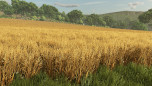 画像ギャラリー No.008のサムネイル画像 / 「Farming Simulator 25」，コンテンツ拡張パック「Plains & Prairies Pack」を6月3日に配信。シリーズ初登場のFordから2種類のモデルを追加
