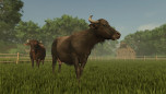 画像ギャラリー No.009のサムネイル画像 / 「Farming Simulator 25」，コンテンツ拡張パック「Plains & Prairies Pack」を6月3日に配信。シリーズ初登場のFordから2種類のモデルを追加