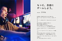 画像ギャラリー No.032のサムネイル画像 / 3万円で買える240Hz表示のゲーマー向けVA液晶ディスプレイ「Evnia Gaming Monitor」でゲームを満喫しよう【PR】