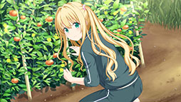 画像ギャラリー No.011のサムネイル画像 / ADV「この青空に約束を― Refine」，12月19日に発売決定。原作タイトルのイラストや劇中BGMなどを一新した“最新バージョン”