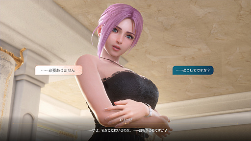 画像ギャラリー No.019のサムネイル画像 / ［インタビュー］ビーチバレーから恋愛アドベンチャーに。「Venus Vacation PRISM」は「DOAXVV」から6人の女の子が登場