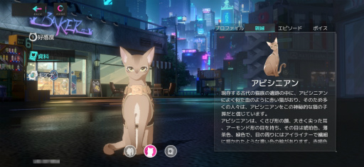 画像ギャラリー No.006のサムネイル画像 / 猫娘たちと織りなすボリューム大満足な近未来RPG「キャットファンタジー」，今なら最大300回分のガチャも引ける！【PR】