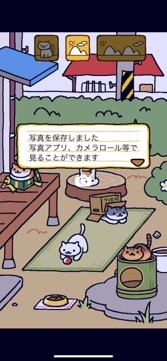 画像ギャラリー No.006のサムネイル画像 / ねこを集めて愛でよう！　シンプル可愛い放置系ゲーム「ねこあつめ＋」（今日から始めろApple Arcade #18）