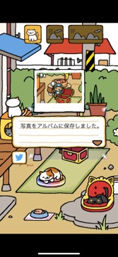 画像ギャラリー No.009のサムネイル画像 / ねこを集めて愛でよう！　シンプル可愛い放置系ゲーム「ねこあつめ＋」（今日から始めろApple Arcade #18）