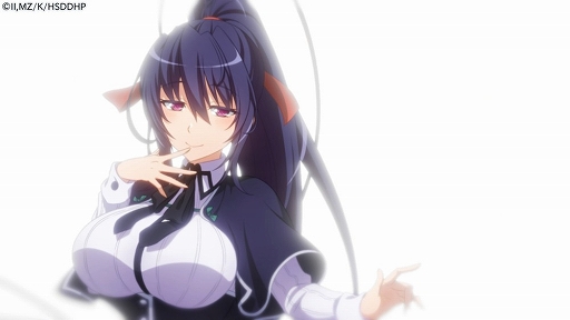 画像ギャラリー No.005のサムネイル画像 / ブラウザゲーム「ハイスクールD×D Operation paradise infinity」，ティザーPVを公開。キャラクターの描き下ろしイラストをチェックしよう