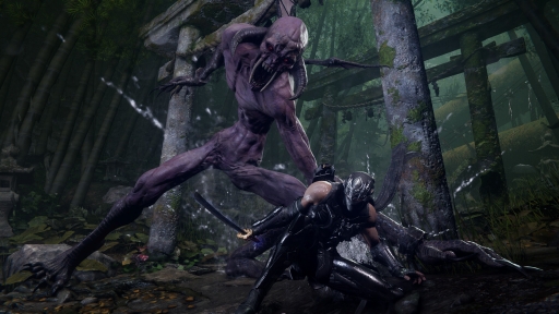 画像ギャラリー No.035のサムネイル画像 / 「NINJA GAIDEN 4」は超高難度で人を選ぶ？　――答えは否！　復活した究極のアクションは“硬派だけど実は面倒見がいい”ことを伝えたい【PR】