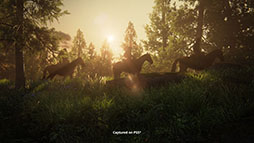 画像ギャラリー No.005のサムネイル画像 / PS5向けバンドル「The Last of Us Complete」，本日発売。追加コンテンツも含めたシリーズ2作品を一挙に楽しめる