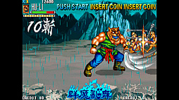 IGS Classic Arcade Collection