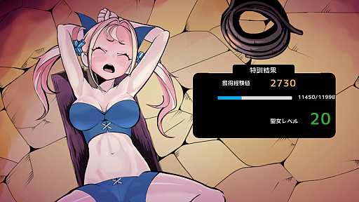 画像ギャラリー No.008のサムネイル画像 / ［プレイレポ］オークの軍団に女騎士が挑む。STG「君は無慈悲な豚の女王」は，やられることで主人公が強くなる