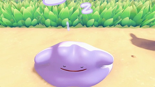 画像ギャラリー No.006のサムネイル画像 / ニンゲンに変身したメタモンとなり，ポケモンたちとのほのぼの暮らしを楽しめる「ぽこ あ ポケモン」発表。Switch2向けに2026年春発売