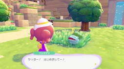 画像ギャラリー No.010のサムネイル画像 / ニンゲンに変身したメタモンとなり，ポケモンたちとのほのぼの暮らしを楽しめる「ぽこ あ ポケモン」発表。Switch2向けに2026年春発売