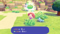 画像ギャラリー No.011のサムネイル画像 / ニンゲンに変身したメタモンとなり，ポケモンたちとのほのぼの暮らしを楽しめる「ぽこ あ ポケモン」発表。Switch2向けに2026年春発売