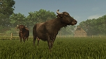 画像ギャラリー No.007のサムネイル画像 / Switch2用ソフト「Farming Simulator: SignatureEdition」が発売決定。「Farming Simulator 25」をベースにコンテンツ拡張パックを収録