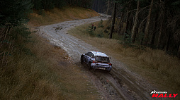 Assetto Corsa Rally