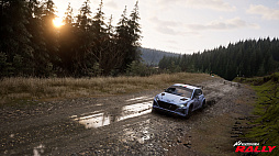 Assetto Corsa Rally