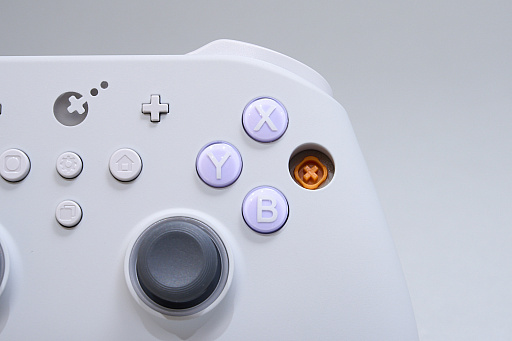 画像ギャラリー No.021のサムネイル画像 / SwitchもPCも遊ぶなら，フル対応のゲームパッドGuliKit「TT PRO Controller」「TT MAX Controller」はどうだろう？　カスタム性も高く，お手頃価格だ