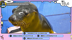 画像ギャラリー No.008のサムネイル画像 / 「いつでも伊勢シーパラダイス　距離感ゼロの水族館図鑑」，本日発売。生き物たちや水族館について学べるゲーム