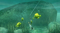 About Fishing