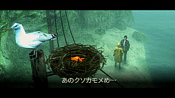 About Fishing